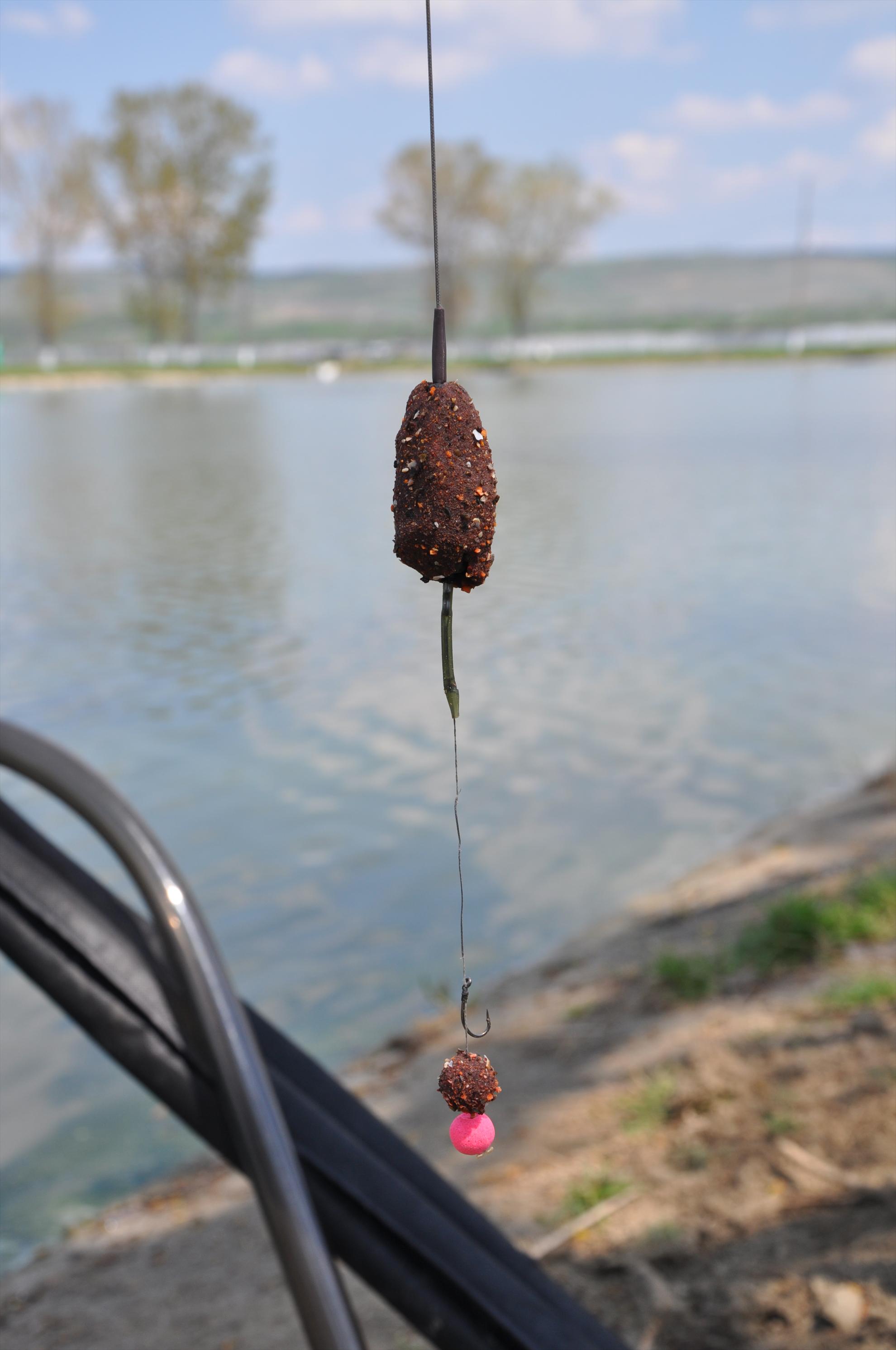 GALERIE FOTO TROFEUL USAMV - PLEASA - dsc0512.JPG